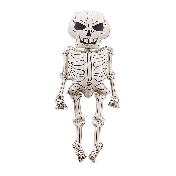 Skeleton - 129cm